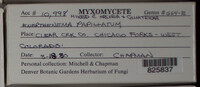 Image Associated With the Occurence